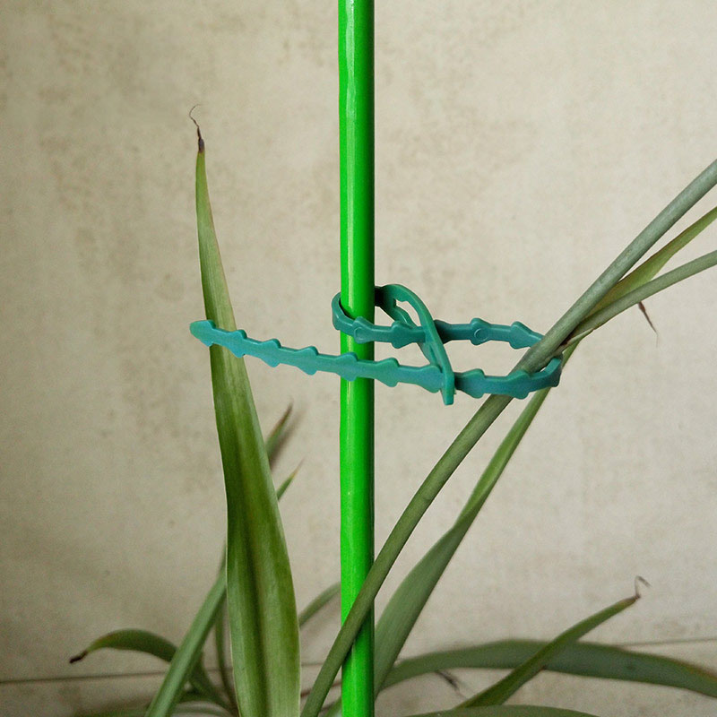 50/100Pcs Reusable Garden Cabl - огляд і ціна Gear Tie Reusable