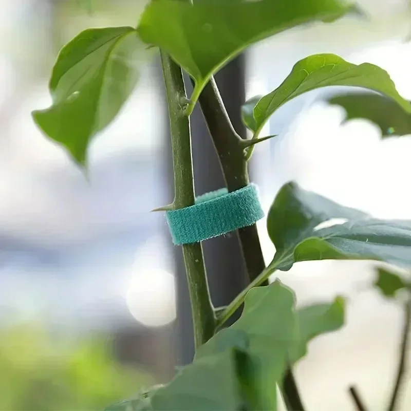 1/100M Adjustable Self Adhesiv - огляд і ціна Gear Tie Reusable