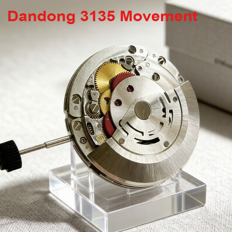 Dandong Super 3135 automatic m - огляд і ціна Watch Winder Compact